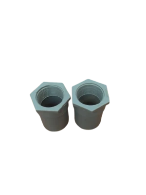 Nối gai trong nhựa Bình Minh PVC - Phi 42 gai trong 42 - VLXD Kiều Oanh