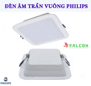 Đèn Dowligh Vuông Philips 14W DN027B