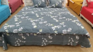 Bộ chăn ga hè (ko vỏ gối) Hanvico 1m6*2m