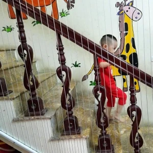 Thi công lưới an toàn cầu thang Chất lượng, giá tốt nhất, thi công nhanh