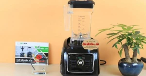 Máy xay sinh tố công nghiệp Promix PM 819B