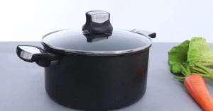 Nồi Tefal Expertise C6204672 Size 24cm Nhập khẩu Pháp