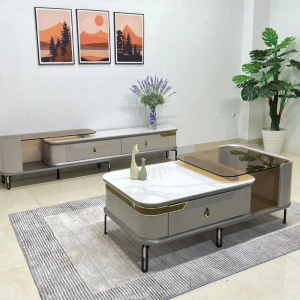 Bàn Sofa Nhập Khẩu 2913