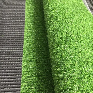 Cỏ nhân tạo 2cm dày