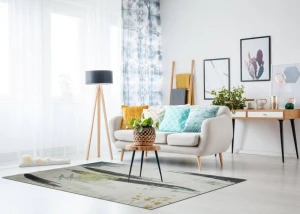 Thảm Lông Xù Evelyn E005