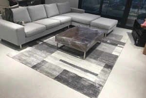 Thảm Trải Gia Đình Trang Trí Feeling 501 Silver