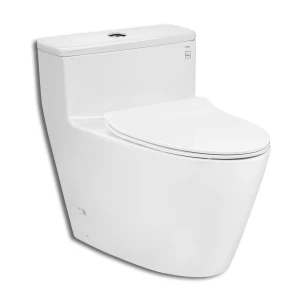 BỒN CẦU 1 KHỐI TOTO MS625DT8
