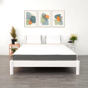 NỆM CAO SU THIÊN NHIÊN STANDARD