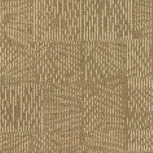 Thảm tấm 50x50 T351