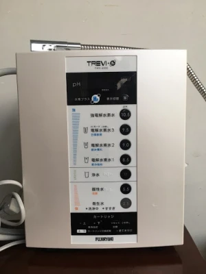 Máy lọc nước ion kiềm Nhật Bản TREVI FWH-6000