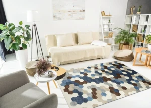 Thảm Sofa phòng khách C0005M