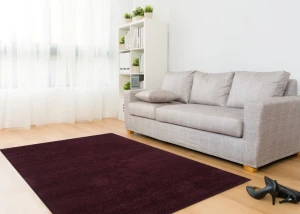 Thảm Sofa phòng khách C0017T