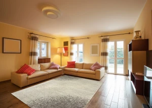 Thảm Sofa phòng khách E0009T