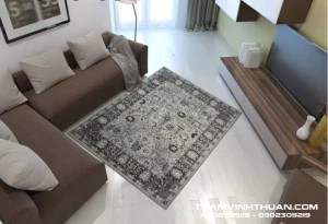 Thảm Sofa Phòng Khách LIMITED_EDITION_9588A_ES_LGREY