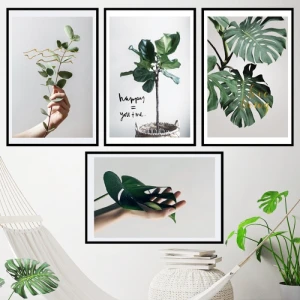 Decal dán decal khung ảnh cây xanh, màu xanh lá trang trí quán cafe, 【Có thi công】 tại TPHCM