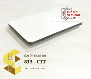 Ốp tường sợi than tre cao cấp 8mm mới 813