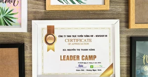 Khung Ảnh 21X30cm (A4)/ 25x35cm (B4)/ 30x42cm (A3) - Khung Bằng Khen Composite, Mặt Mica Treo Tường Để Bàn Màu Trắng