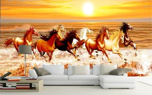 Đón bình minh Cùng Mã đáo thành công