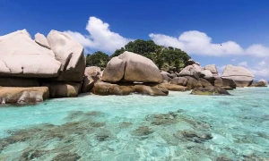 Tranh dán tường 3D bãi đá ông địa