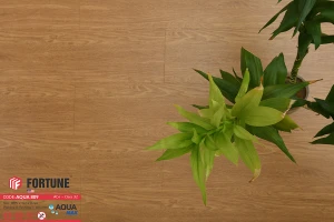 Sàn gỗ Fortune Aqua 809