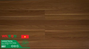 Sàn gỗ Wilson 12mm 807