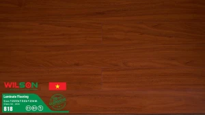 Sàn gỗ Wilson 12mm 818