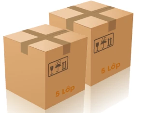 Thùng Carton chuyển nhà