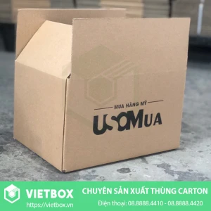 Thùng Carton USA Mua Hàng Mỹ