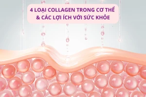 4 loại collagen trong cơ thể & các lợi ích với sức khỏe