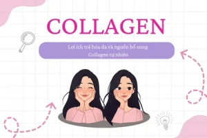 Collagen là gì? Lợi ích trẻ hóa da và nguồn bổ sung Collagen tự nhiên