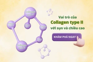 Vai trò của Collagen type II với sụn và chiều cao