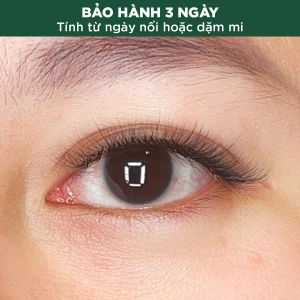 Nối Mi Katun (Vừa)