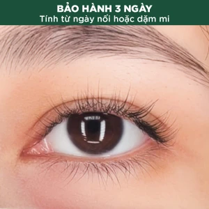 Uốn Mi Kéo Sợi Collagen (Mi Dưới)