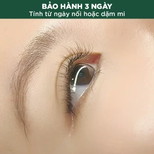 Uốn Mi Kéo Sợi Collagen