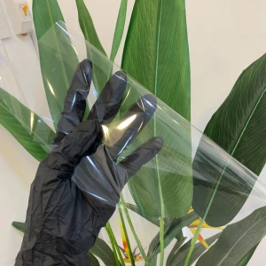 Film Nilong Scan Hình Xăm