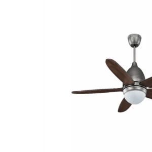 Quạt trần Daisy SO