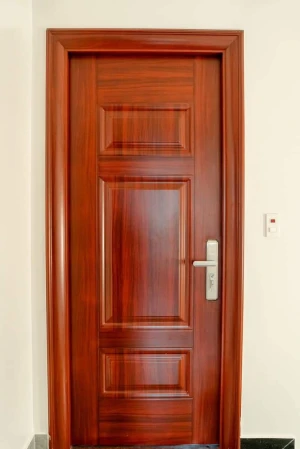 Cửa Thép Vân Gỗ 1 Cánh Phòng Ngủ