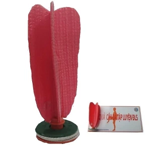 Quả cầu đá ĐLS tập luyện