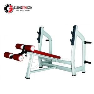 Ghế đẩy ngực dốc dưới MBH H-024