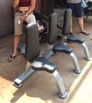 Ghế đơn có tựa lưng SION DN-04