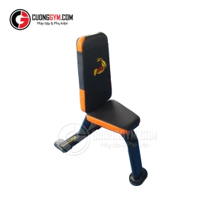 Ghế đơn tựa lưng CTF DN-05