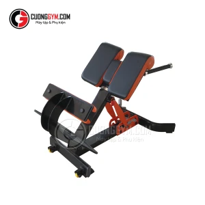 Ghế tập lưng đa năng CTF LX-08