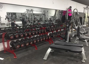 Giá để tạ tay ba tầng SION DN-10