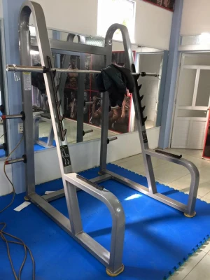 Khung gánh tạ (Squat Rack) SION C-02