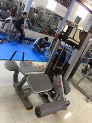 Máy móc đùi sau tạ khối SION C-08