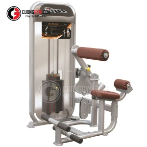 Máy tập lưng bụng (2 trong 1) Impulse PL9024