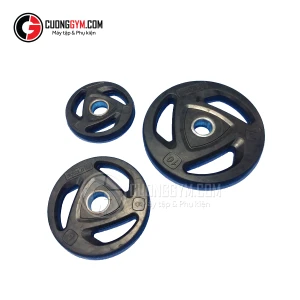 Tạ đĩa bọc cao su CTF DN-08