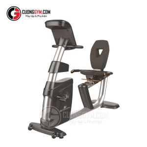 Xe đạp tập cao cấp có tựa lưng Impulse RR500