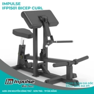 IFP1501 - Bicep Curl