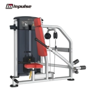 IT9517 - SEATED DIP (200LBS)